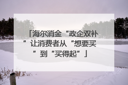 海尔消金“政企双补”让消费者从“想要买”到“买得起”