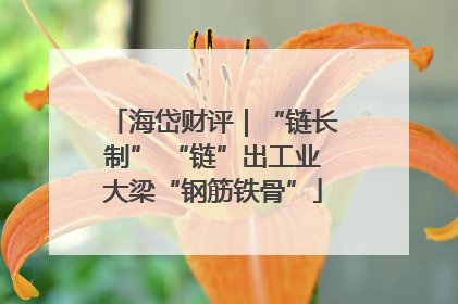 海岱财评｜“链长制” “链”出工业大梁“钢筋铁骨”