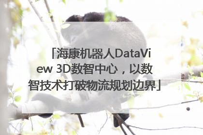 海康机器人DataView 3D数智中心，以数智技术打破物流规划边界