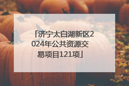 济宁太白湖新区2024年公共资源交易项目121项