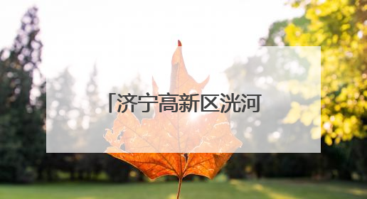济宁高新区洸河街道东闸社区举办“‘洸’暖万家·幸福家园”端午节幸福集市活动