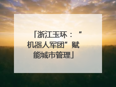 浙江玉环：“机器人军团”赋能城市管理