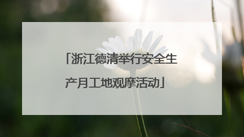 浙江德清举行安全生产月工地观摩活动