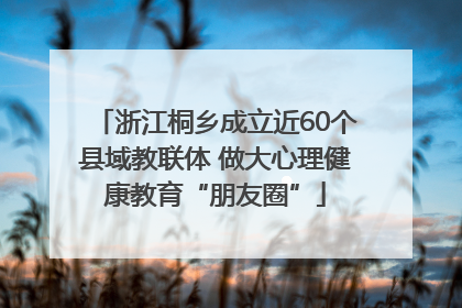浙江桐乡成立近60个县域教联体 做大心理健康教育“朋友圈”