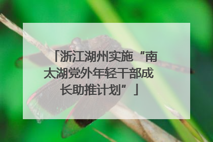 浙江湖州实施“南太湖党外年轻干部成长助推计划”
