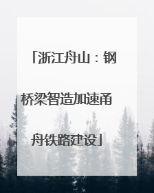 浙江舟山：钢桥梁智造加速甬舟铁路建设