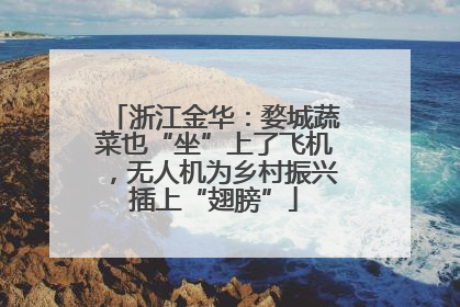 浙江金华：婺城蔬菜也“坐”上了飞机，无人机为乡村振兴插上“翅膀”