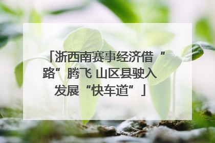 浙西南赛事经济借“路”腾飞 山区县驶入发展“快车道”