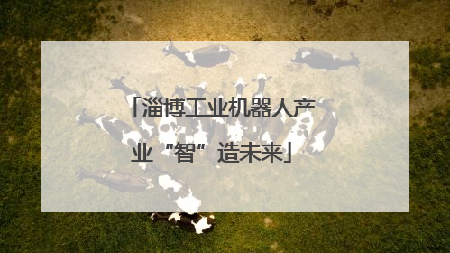 淄博工业机器人产业“智”造未来