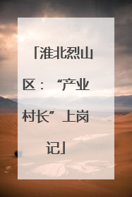 淮北烈山区：“产业村长”上岗记