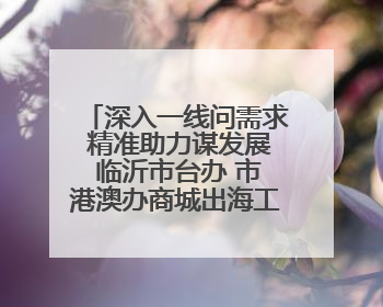 深入一线问需求 精准助力谋发展 临沂市台办 市港澳办商城出海工作组到平邑县走访调研