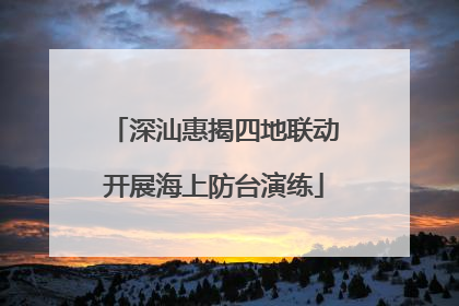 深汕惠揭四地联动开展海上防台演练