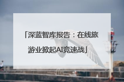 深蓝智库报告：在线旅游业掀起AI竞速战