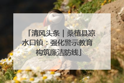 清风头条｜桑植县凉水口镇：强化警示教育 构筑廉洁防线