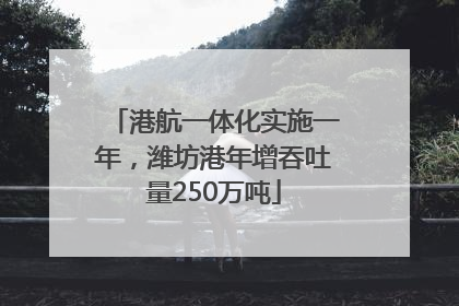 港航一体化实施一年，潍坊港年增吞吐量250万吨