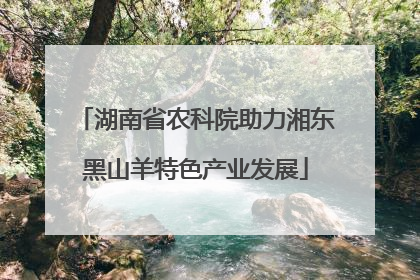 湖南省农科院助力湘东黑山羊特色产业发展