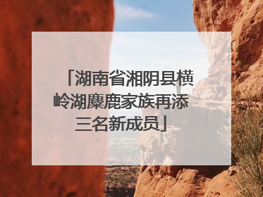 湖南省湘阴县横岭湖麋鹿家族再添三名新成员