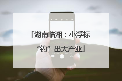 湖南临湘：小浮标“钓”出大产业