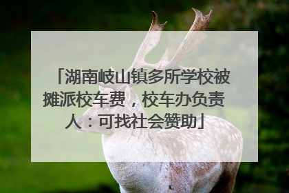 湖南岐山镇多所学校被摊派校车费，校车办负责人：可找社会赞助