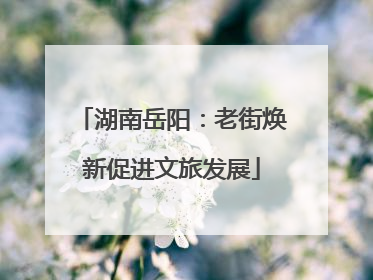 湖南岳阳：老街焕新促进文旅发展