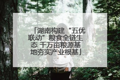 湖南构建“五优联动”粮食全链生态 千万亩粮源基地夯实产业根基