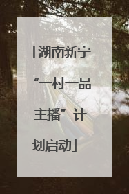 湖南新宁“一村一品一主播”计划启动