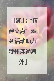 湖北“侨建支点”系列活动助力鄂州连通海外