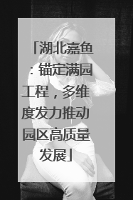 湖北嘉鱼：锚定满园工程，多维度发力推动园区高质量发展