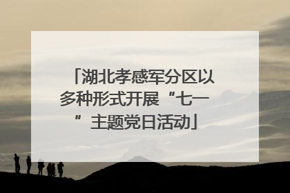 湖北孝感军分区以多种形式开展“七一”主题党日活动