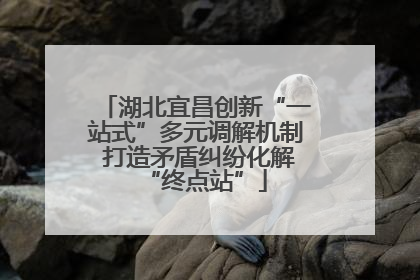 湖北宜昌创新“一站式”多元调解机制 打造矛盾纠纷化解“终点站”