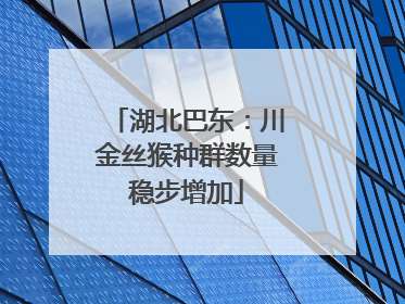 湖北巴东：川金丝猴种群数量稳步增加