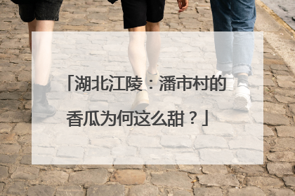 湖北江陵：潘市村的香瓜为何这么甜？