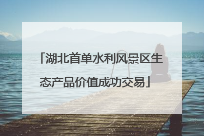 湖北首单水利风景区生态产品价值成功交易