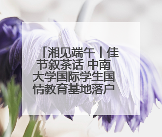 湘见端午丨佳节叙茶话 中南大学国际学生国情教育基地落户湖南省茶叶博物馆