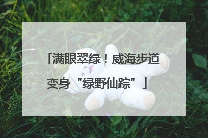 满眼翠绿！威海步道变身“绿野仙踪”