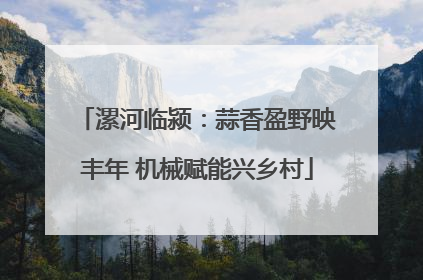 漯河临颍：蒜香盈野映丰年 机械赋能兴乡村