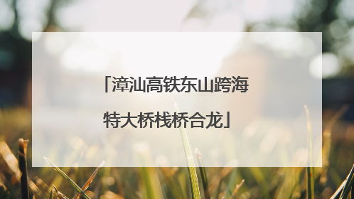 漳汕高铁东山跨海特大桥栈桥合龙