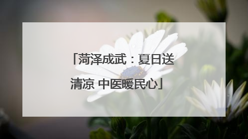 菏泽成武：夏日送清凉 中医暖民心