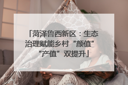 菏泽鲁西新区：生态治理赋能乡村“颜值”“产值”双提升