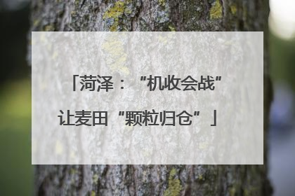 菏泽：“机收会战”让麦田“颗粒归仓”