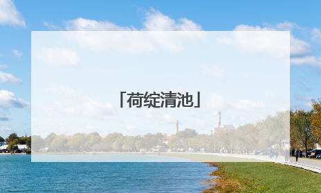 荷绽清池
