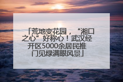 荒地变花园，“湘口之心”好称心！武汉经开区5000余居民推门见绿满眼风景