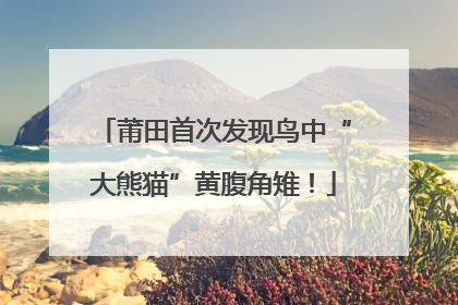 莆田首次发现鸟中“大熊猫”黄腹角雉！