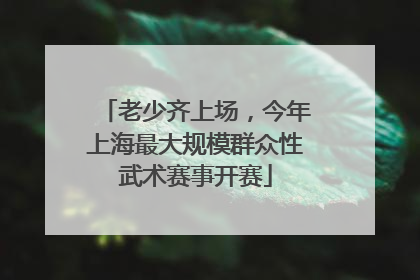 老少齐上场，今年上海最大规模群众性武术赛事开赛