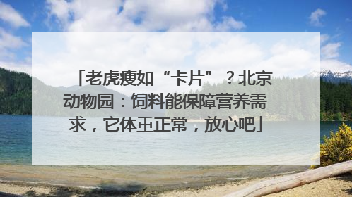 老虎瘦如“卡片”？北京动物园：饲料能保障营养需求，它体重正常，放心吧