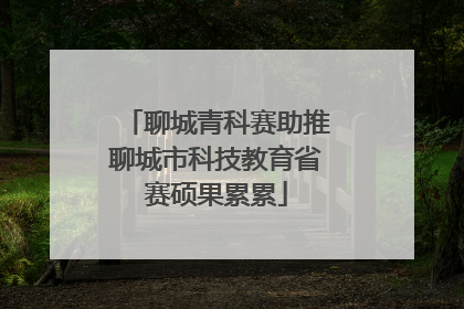 聊城青科赛助推聊城市科技教育省赛硕果累累