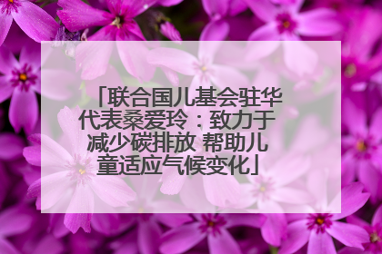 联合国儿基会驻华代表桑爱玲：致力于减少碳排放 帮助儿童适应气候变化