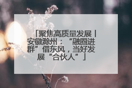 聚焦高质量发展丨安徽滁州：“融圈进群”借东风，当好发展“合伙人”