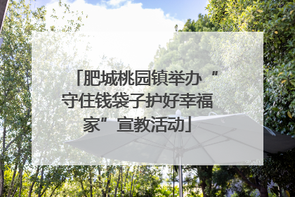 肥城桃园镇举办“守住钱袋子护好幸福家”宣教活动