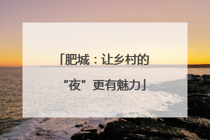 肥城：让乡村的“夜”更有魅力